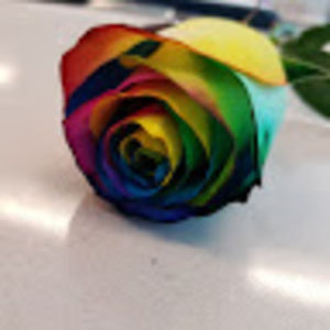 Meet your Posher, Galaxy